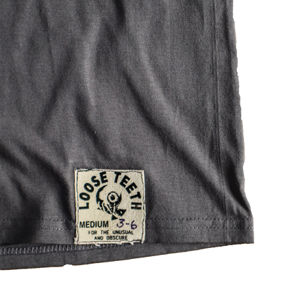 "FORGOTTEN TRUTHS." (Copy)