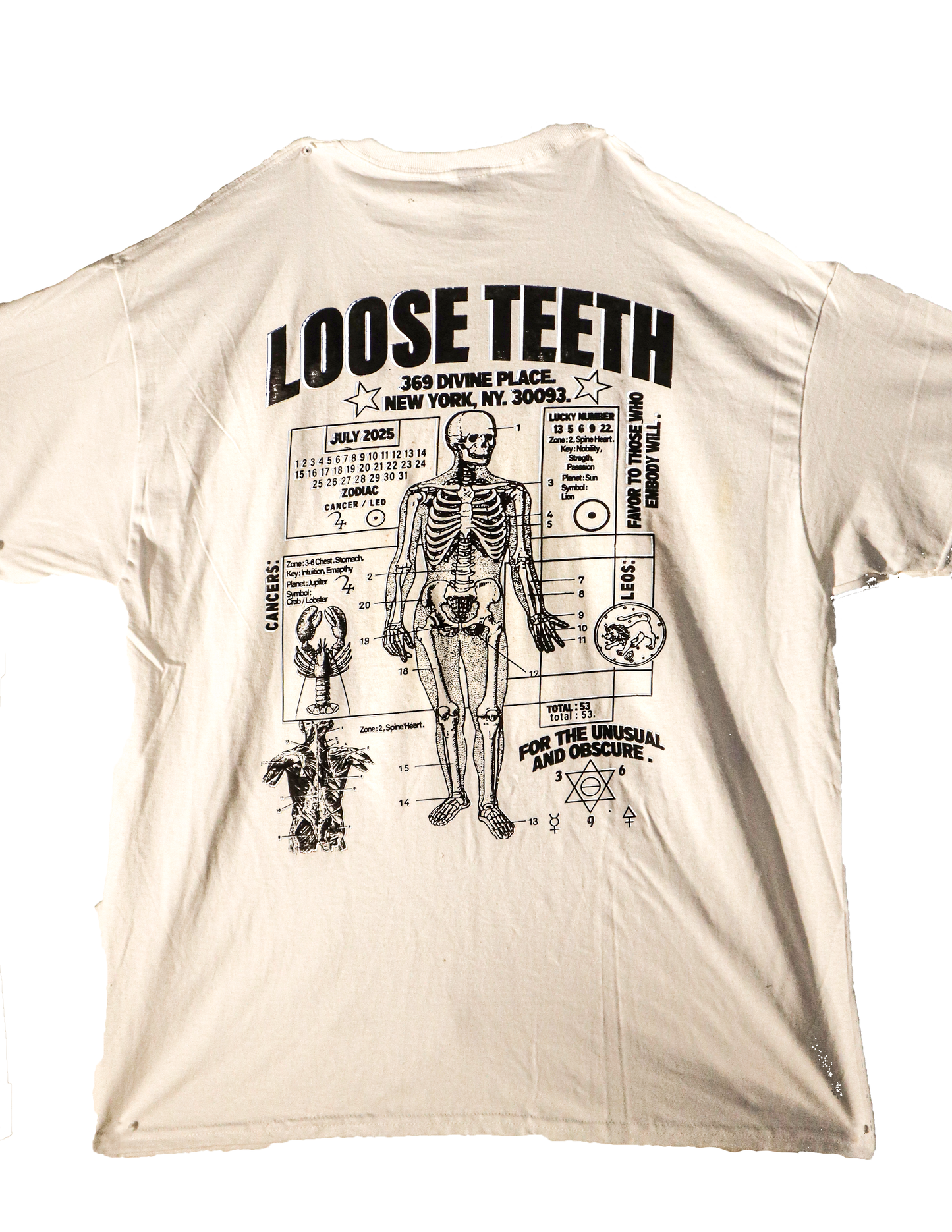 ANATOMY SHIRT